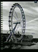 Opakowanie Kołobrulion A5/100K kratka (5szt)