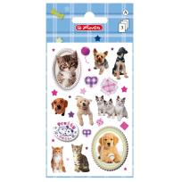 Okładka książki Naklejki A ozdobne Pretty Pets kot i pies