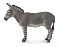 Okładka książki OSIOŁ AFRYKAŃSKI (DZIKIE - L)