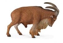 Okładka książki OWCA GRZYWIASTA (DZIKIE - L)