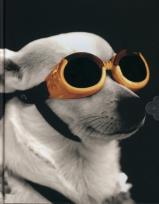 Opakowanie Pamiętnik Szybki Pies