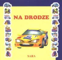 Okładka książki Parawaniki - Na drodze SARA