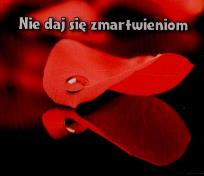 Okładka książki Perełka 100 - Nie daj się zmartwieniom