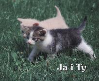 Okładka książki Perełka 137 - Ja i Ty.