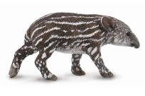 Opakowanie Tapir cielę bairda