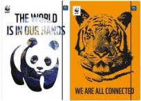 Opakowanie Teczka z gumką A4+ Eko Adult (10szt)