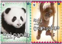 Opakowanie Teczka z gumką A4+ Eko Kids (10szt)