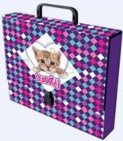 Opakowanie Teczka z rączką C4