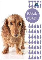 Opakowanie Zeszyt A5/16K gładki (20szt)