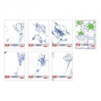 Opakowanie Zeszyt A5/32K kratka My Pen Fashion (10szt)