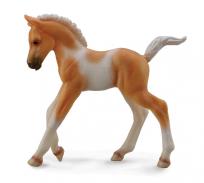 Okładka książki Źrebię idące Pinto Palomino