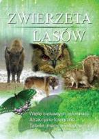 Okładka książki Zwierzęta lasów
