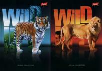 Opakowanie Brulion A5 Wild Life w kratkę 96 kartek 5 sztuk mix