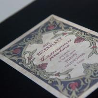 Okładka książki Czarownica powołana Przyczynek do historji spraw przeciw czarownicom w Polsce