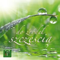 Okładka książki Do źródeł szczęścia 2