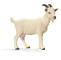 Opakowanie Koza domowa