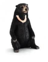 Opakowanie Niedźwiedź malajski ANIMAL PLANET