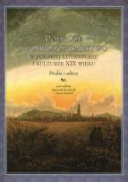 Opakowanie Podróże i podróżopisarstwo w polskiej literaturze i kulturze XIX wieku