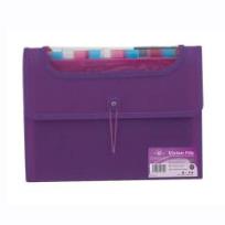 Opakowanie Teczka A4 Visfile z 12 przekładkami (4szt) PUKKA