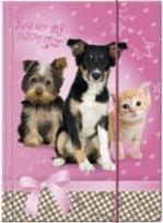 Opakowanie Teczka z gumką A4 Star Animals DERFORM