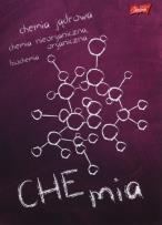 Opakowanie Zeszyt A5 Chemia w kratkę 60 kartek 10 sztuk