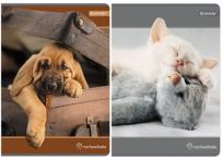 Opakowanie Zeszyt A5 w kratkę 80 kartek Rachel Hale 5 sztuk mix