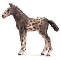 Opakowanie Źrebię rasy Knabstrupper