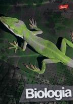 Opakowanie Brulion A5 w kratkę 80 kartek Biologia 5 sztuk