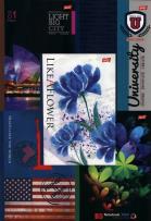 Opakowanie Brulion B5 w kratkę 160 kartek 5 sztuk mix