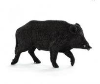 Opakowanie Dzik ANIMAL PLANET