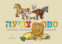 Okładka książki Kolorowanka / coloring book