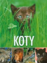 Okładka książki Koty