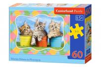 Okładka książki Puzzle 60 Siberian Kittens in Flowerpots CASTOR