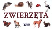 Okładka książki Rozkładanka - Zwierzęta REA