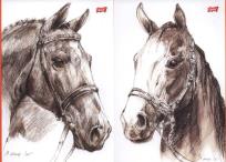 Opakowanie Szkicownik A4 20 kartek 10 sztuk