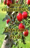 Okładka książki Zwyczajne życie