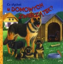 Okładka książki Co słychać u domowych zwierzątek?