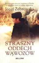Okładka książki Straszny oddech wąwozów