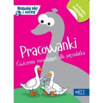 Okładka książki Bawię się i uczę. Pięciolatek Pracowanki