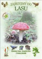 Okładka książki Książeczka edukacyjna. Zajrzyjmy do lasu