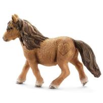 Opakowanie Kuc szetlandzki klacz