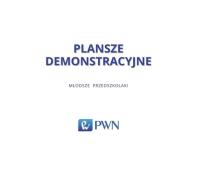 Okładka książki Plansze demonstracyjne Młodsze przedszkolaki