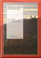Okładka książki Węzłowe problemy procesu karnego