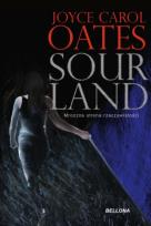 Okładka książki Sourland