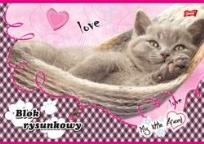 Opakowanie BLOK RYS.A4/20 MY LITTLE FRIE BIALY MAJEW BPZ