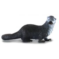 Okładka książki COLLECTA WYDRA ROZMIAR M BPZ-COLLECTA