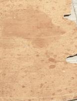 Okładka książki HONKY