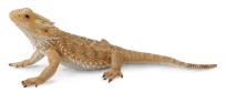 Okładka książki Jaszczurka dragon