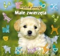 Okładka książki Maluch poznaje - małe zwierzęta