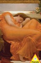 Opakowanie Puzzle 1000 Leighton Gorący Czerwiec